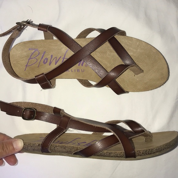 blowfish malibu granola